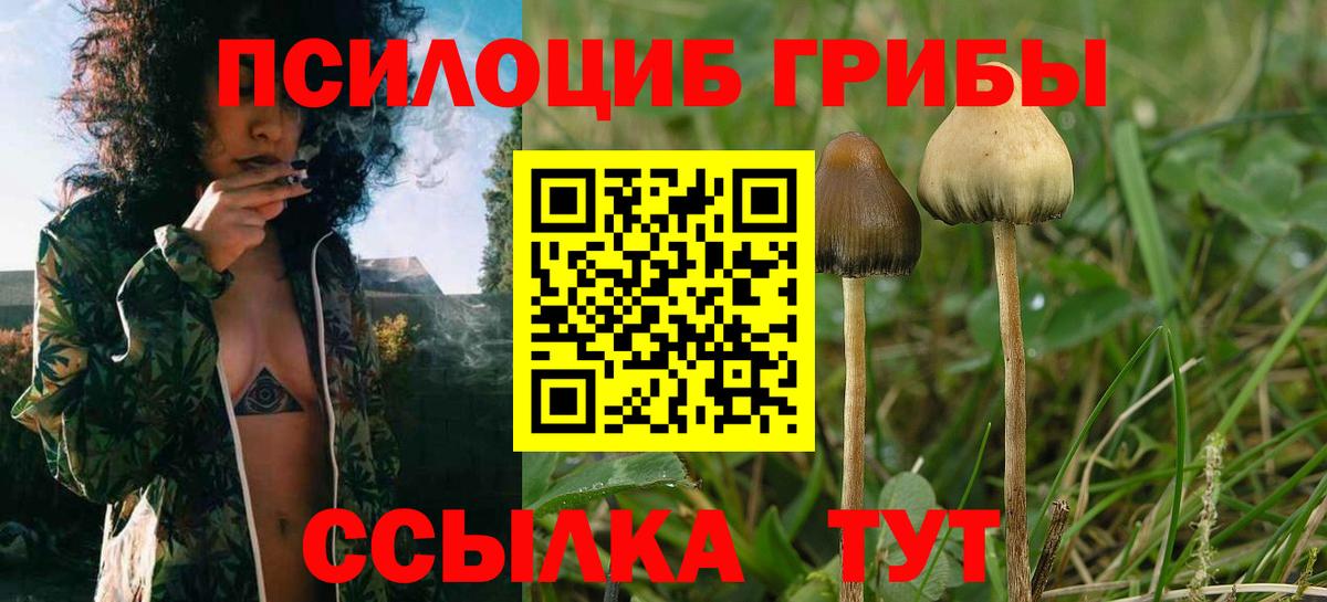 Ишим  купить закладку  Вход с VPN  Галлюциногенные грибы прущие грибы 